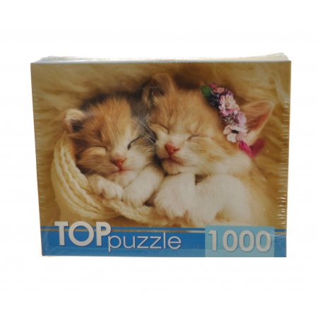 Пазл РЫЖИЙ КОТ 1000эл 670х470мм Top Puzzle Два спящих котенка