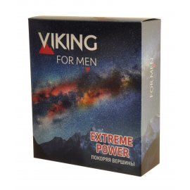 Подарочный набор VIKING Extreme Power (Шамп.300+Гель д/душа 300) Покоряя вершины