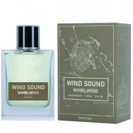 Туалетная вода WIND SOUND Whirlwind мужская 100мл