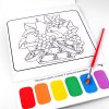 Раскраска волшебная Darvish А4 "Фрукты"+кист.+ сух.краски,8 картинок